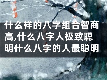 什么样的八字组合智商高,什么八字人极致聪明什么八字的人最聪明