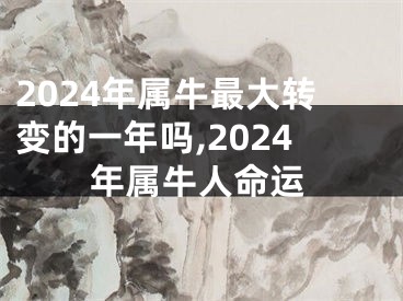 2024年属牛最大转变的一年吗,2024年属牛人命运