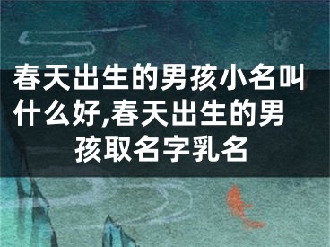 春天出生的男孩小名叫什么好,春天出生的男孩取名字乳名