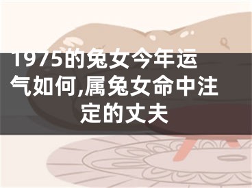 1975的兔女今年运气如何,属兔女命中注定的丈夫