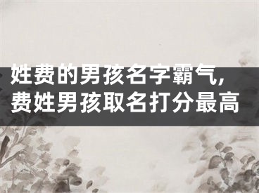 姓费的男孩名字霸气,费姓男孩取名打分最高