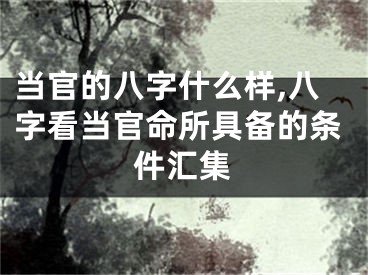 当官的八字什么样,八字看当官命所具备的条件汇集