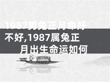 1987男兔正月命好不好,1987属兔正月出生命运如何