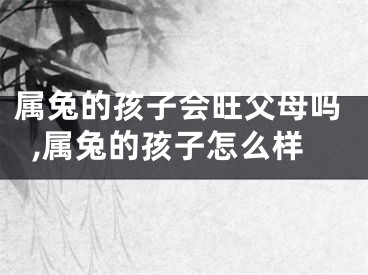 属兔的孩子会旺父母吗,属兔的孩子怎么样