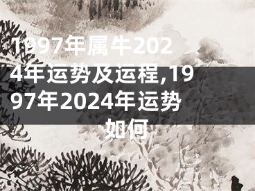 1997年属牛2024年运势及运程,1997年2024年运势如何