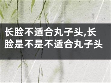 长脸不适合丸子头,长脸是不是不适合丸子头