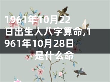 1961年10月22日出生人八字算命,1961年10月28日是什么命