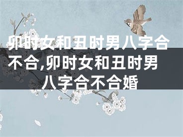 卯时女和丑时男八字合不合,卯时女和丑时男八字合不合婚