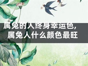 属兔的人终身幸运色,属兔人什么颜色最旺