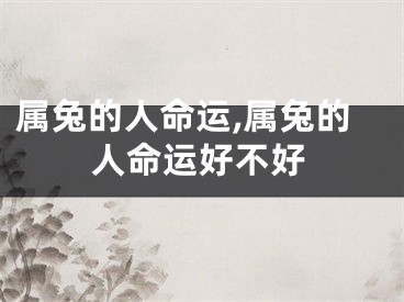 属兔的人命运,属兔的人命运好不好
