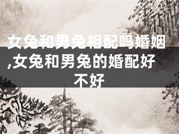 女兔和男兔相配吗婚姻,女兔和男兔的婚配好不好