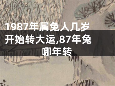1987年属兔人几岁开始转大运,87年兔哪年转