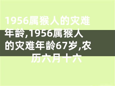 1956属猴人的灾难年龄,1956属猴人的灾难年龄67岁,农历六月十六