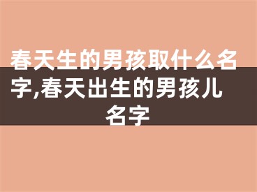 春天生的男孩取什么名字,春天出生的男孩儿名字