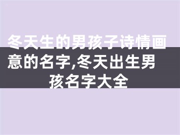 冬天生的男孩子诗情画意的名字,冬天出生男孩名字大全