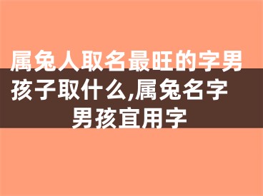 属兔人取名最旺的字男孩子取什么,属兔名字男孩宜用字