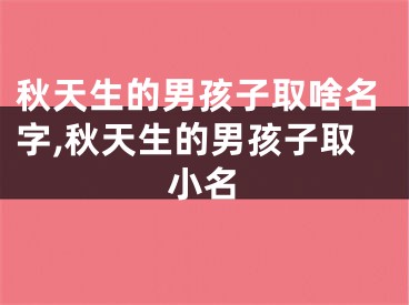 秋天生的男孩子取啥名字,秋天生的男孩子取小名