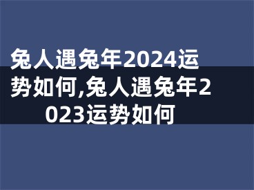兔人遇兔年2024运势如何,兔人遇兔年2023运势如何