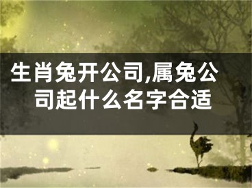 生肖兔开公司,属兔公司起什么名字合适