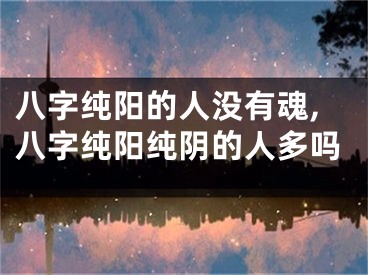 八字纯阳的人没有魂,八字纯阳纯阴的人多吗