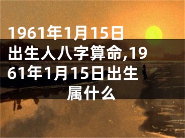1961年1月15日出生人八字算命,1961年1月15日出生属什么