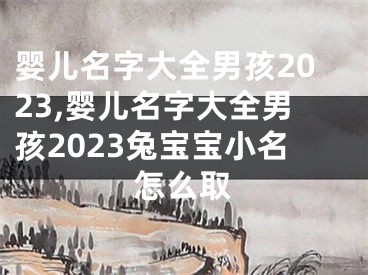 婴儿名字大全男孩2023,婴儿名字大全男孩2023兔宝宝小名怎么取