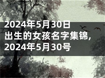 2024年5月30日出生的女孩名字集锦,2024年5月30号