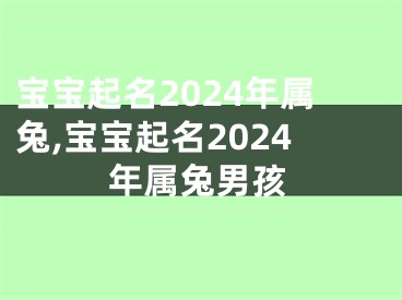 宝宝起名2024年属兔,宝宝起名2024年属兔男孩