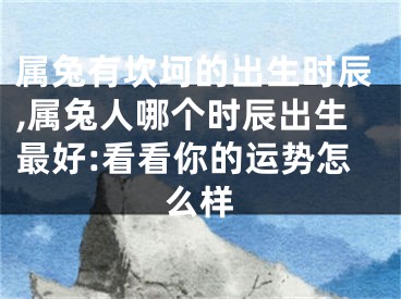 属兔有坎坷的出生时辰,属兔人哪个时辰出生最好:看看你的运势怎么样