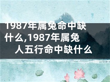 1987年属兔命中缺什么,1987年属兔人五行命中缺什么