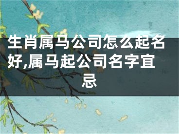 生肖属马公司怎么起名好,属马起公司名字宜忌