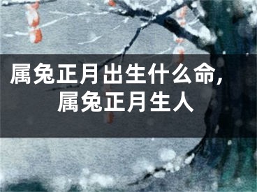 属兔正月出生什么命,属兔正月生人