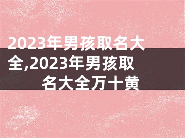 2023年男孩取名大全,2023年男孩取名大全万十黄