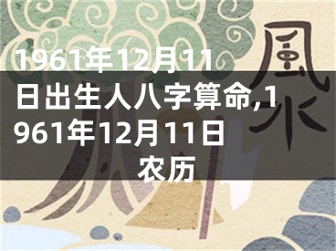 1961年12月11日出生人八字算命,1961年12月11日农历