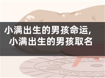 小满出生的男孩命运,小满出生的男孩取名