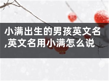 小满出生的男孩英文名,英文名用小满怎么说