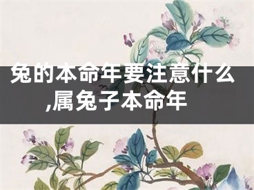 兔的本命年要注意什么,属兔子本命年