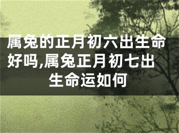 属兔的正月初六出生命好吗,属兔正月初七出生命运如何