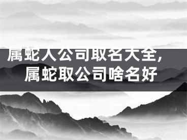 属蛇人公司取名大全,属蛇取公司啥名好