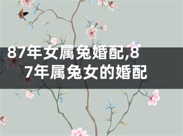 87年女属兔婚配,87年属兔女的婚配