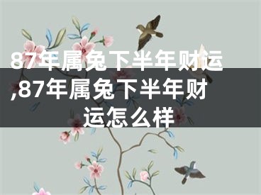 87年属兔下半年财运,87年属兔下半年财运怎么样