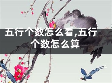 五行个数怎么看,五行个数怎么算