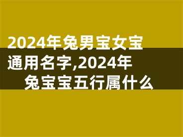 2024年兔男宝女宝通用名字,2024年兔宝宝五行属什么
