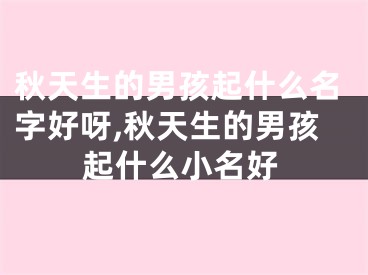 秋天生的男孩起什么名字好呀,秋天生的男孩起什么小名好