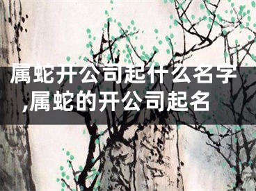 属蛇开公司起什么名字,属蛇的开公司起名