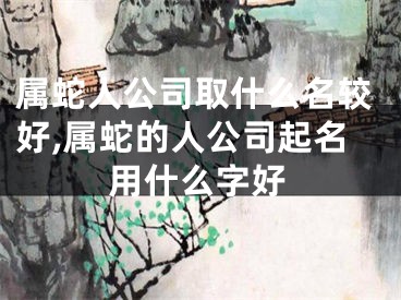 属蛇人公司取什么名较好,属蛇的人公司起名用什么字好