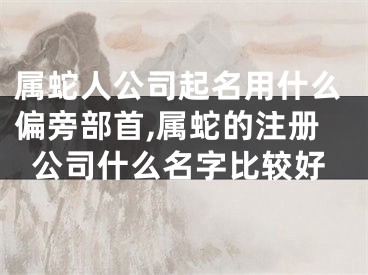 属蛇人公司起名用什么偏旁部首,属蛇的注册公司什么名字比较好