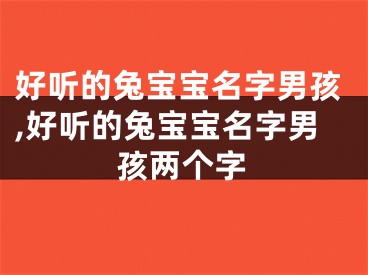 好听的兔宝宝名字男孩,好听的兔宝宝名字男孩两个字