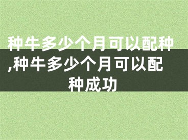 种牛多少个月可以配种,种牛多少个月可以配种成功