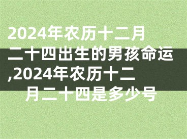 2024年农历十二月二十四出生的男孩命运,2024年农历十二月二十四是多少号